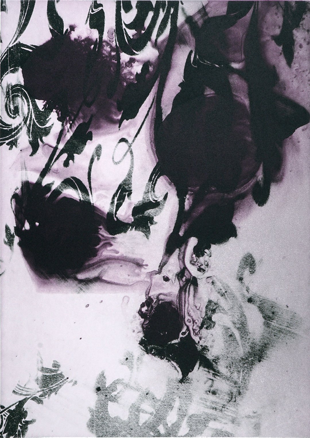Dorothea Van Camp — 13FOREST Gallery